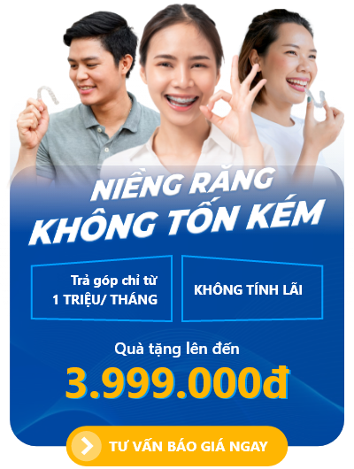 Chương trình Vidental