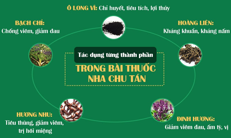 Nha chu tán - Giải pháp điều trị các bệnh lý về răng miệng